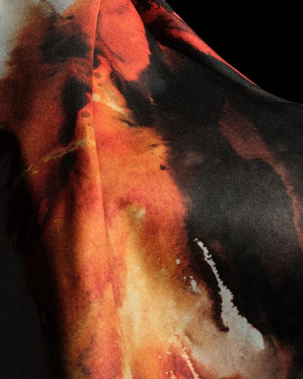 战术可塑性 战术可塑性