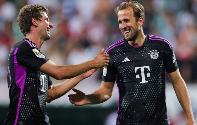 扇形清草 扇形清草